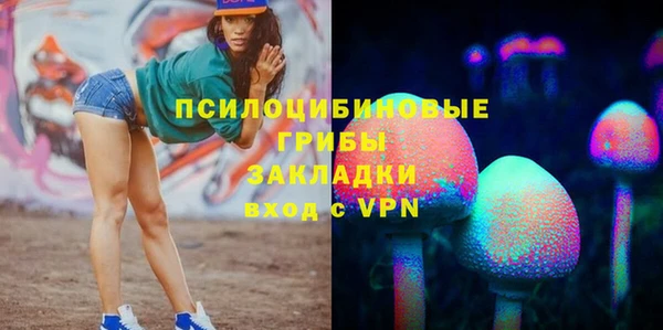 Альфа ПВП Лагань