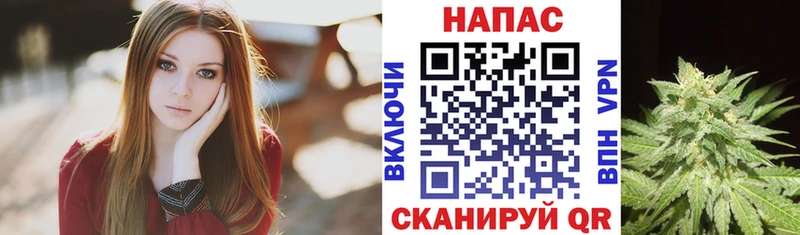 Конопля Amnesia  Купить закладки  Чегем 